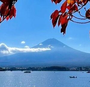 Nepažinta Japonija 12 d. (Tokijas, Kioto, Osaka)