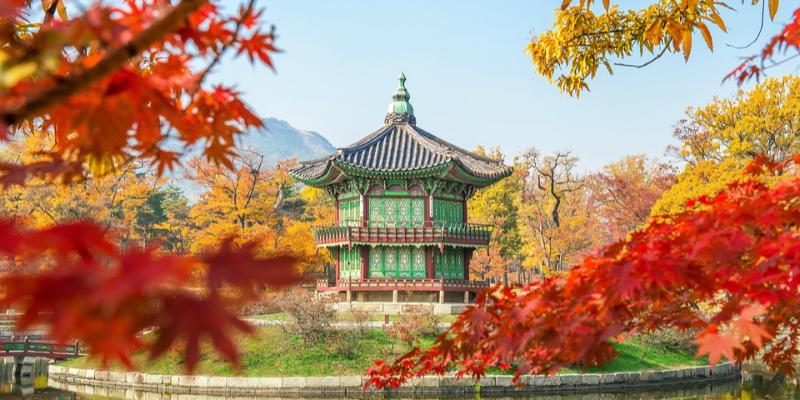 Pietų Korėja (skrydis iš Rygos)