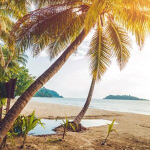 Pietų Vietnamas su poilsiu prie jūros 16 d. (skrydis iš Vilniaus) GRUPĖ TIK IŠ LIETUVOS!