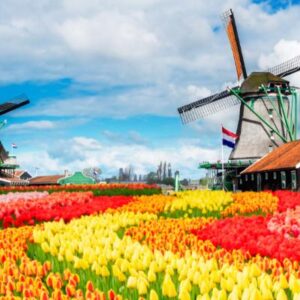 Kelionė į Belgiją - Olandiją su galimybe apsilankyti gėlių parke „Keukenhof“ (8 d.) (skrydis į Šarlerua)