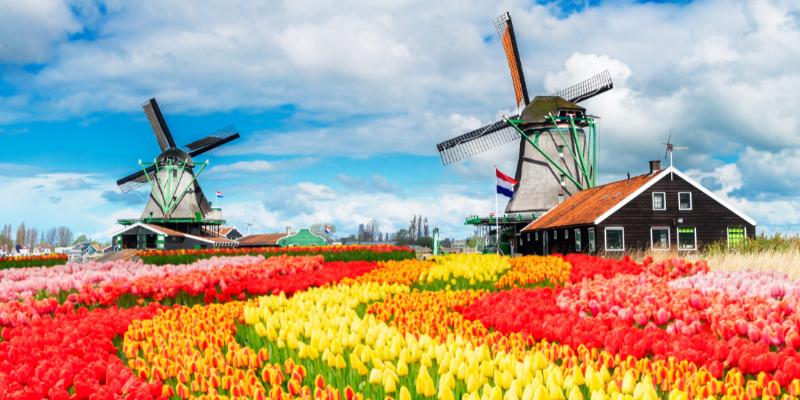 Kelionė į Belgiją - Olandiją su galimybe apsilankyti gėlių parke „Keukenhof“ (8 d.) (skrydis į Šarlerua)