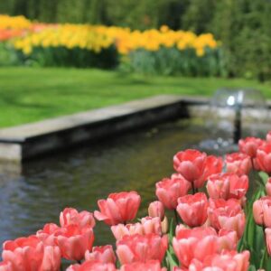 Belgija - Olandija su galimybe apsilankyti gėlių parke „Keukenhof“ (4 d.) (skrydis iš Kauno) GRUPĖ TIK IŠ LIETUVOS!